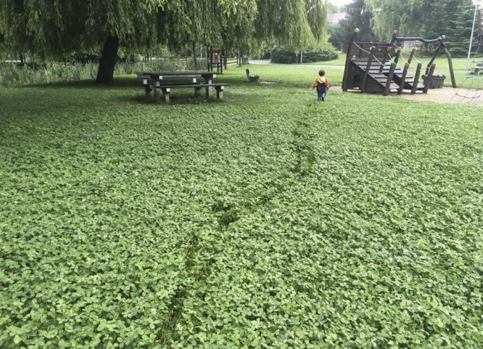 Ilustrační obrázek