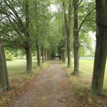 Ilustrační obrázek