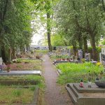 Ilustrační obrázek