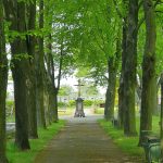 Ilustrační obrázek