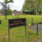 Ilustrační obrázek