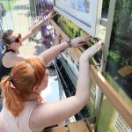 Ilustrační obrázek