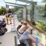 Ilustrační obrázek