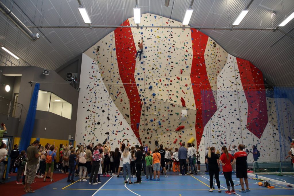 Ilustrační obrázek