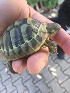 Ilustrační obrázek