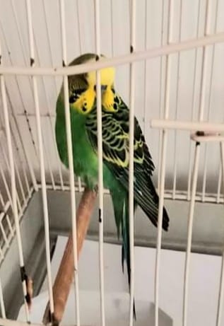 Ilustrační obrázek