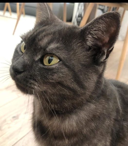 Ilustrační obrázek