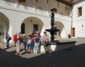 Ilustrační obrázek