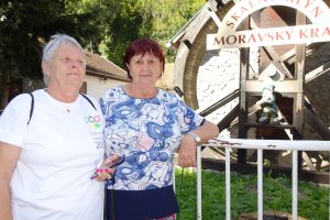 Ilustrační obrázek