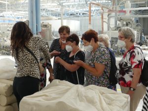 Ilustrační obrázek