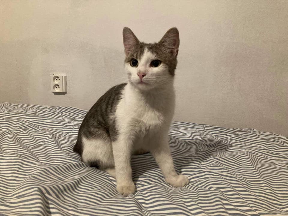 Ilustrační obrázek