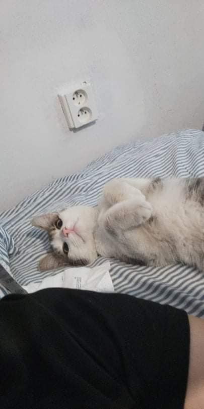 Ilustrační obrázek