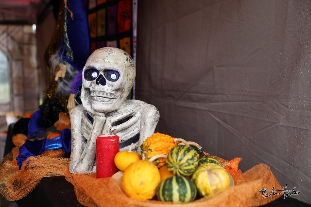 Ilustrační obrázek