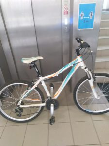 Ilustrační obrázek