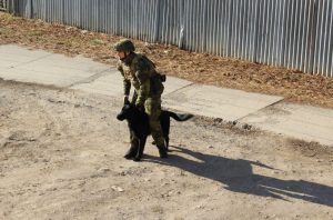 Ilustrační obrázek