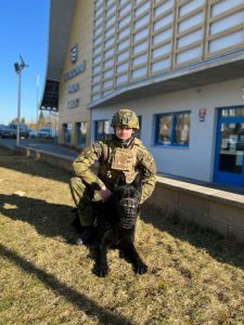 Ilustrační obrázek