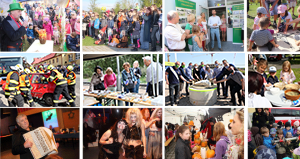 Ilustrační obrázek