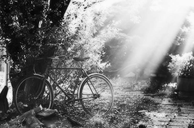 Ilustrační obrázek