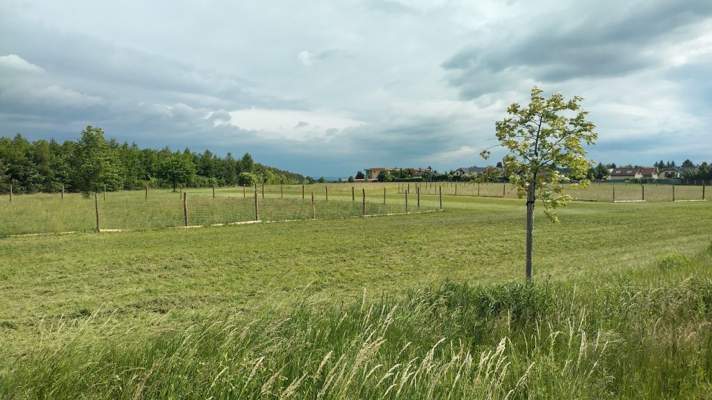 Ilustrační obrázek