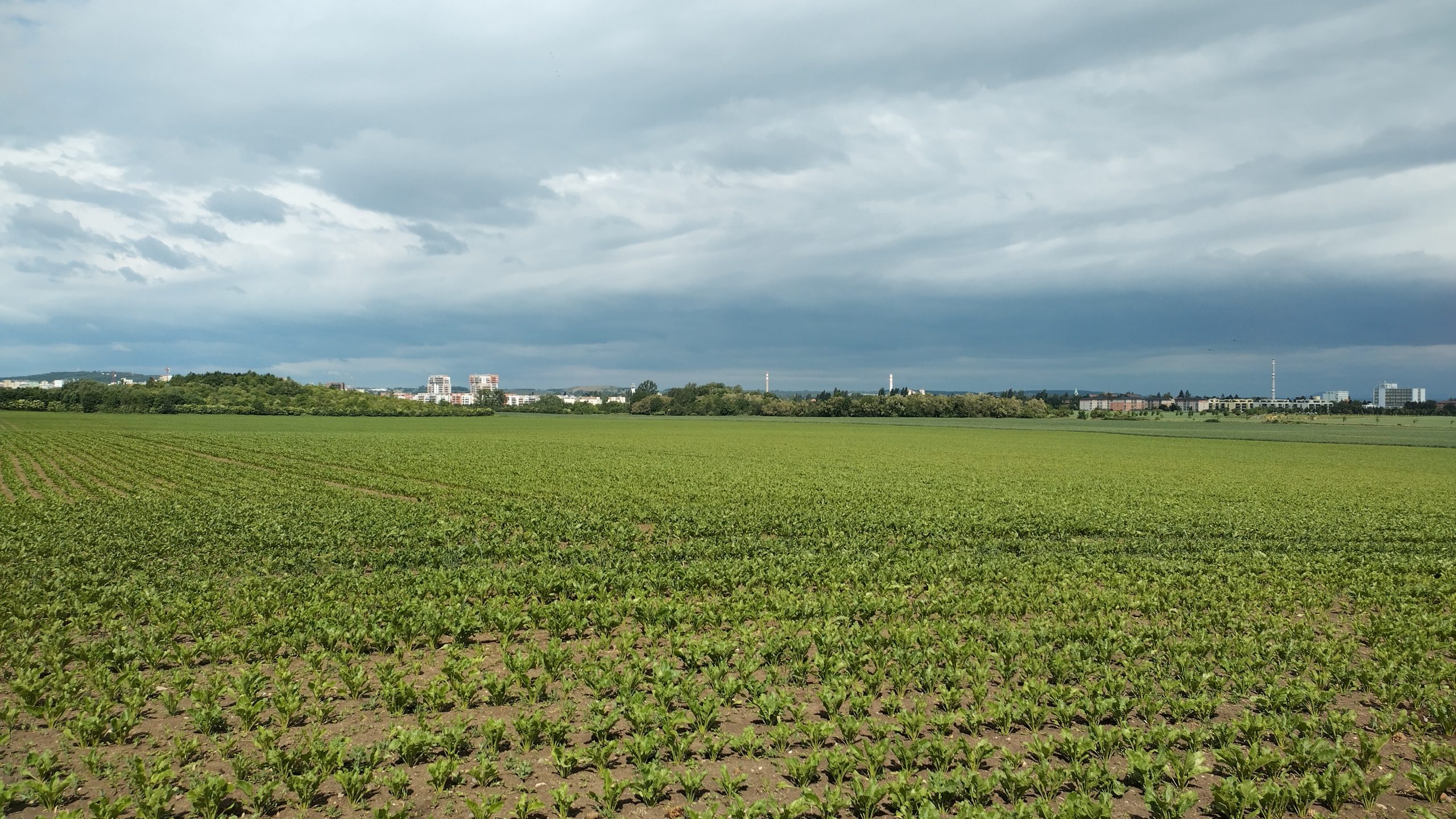 Ilustrační obrázek