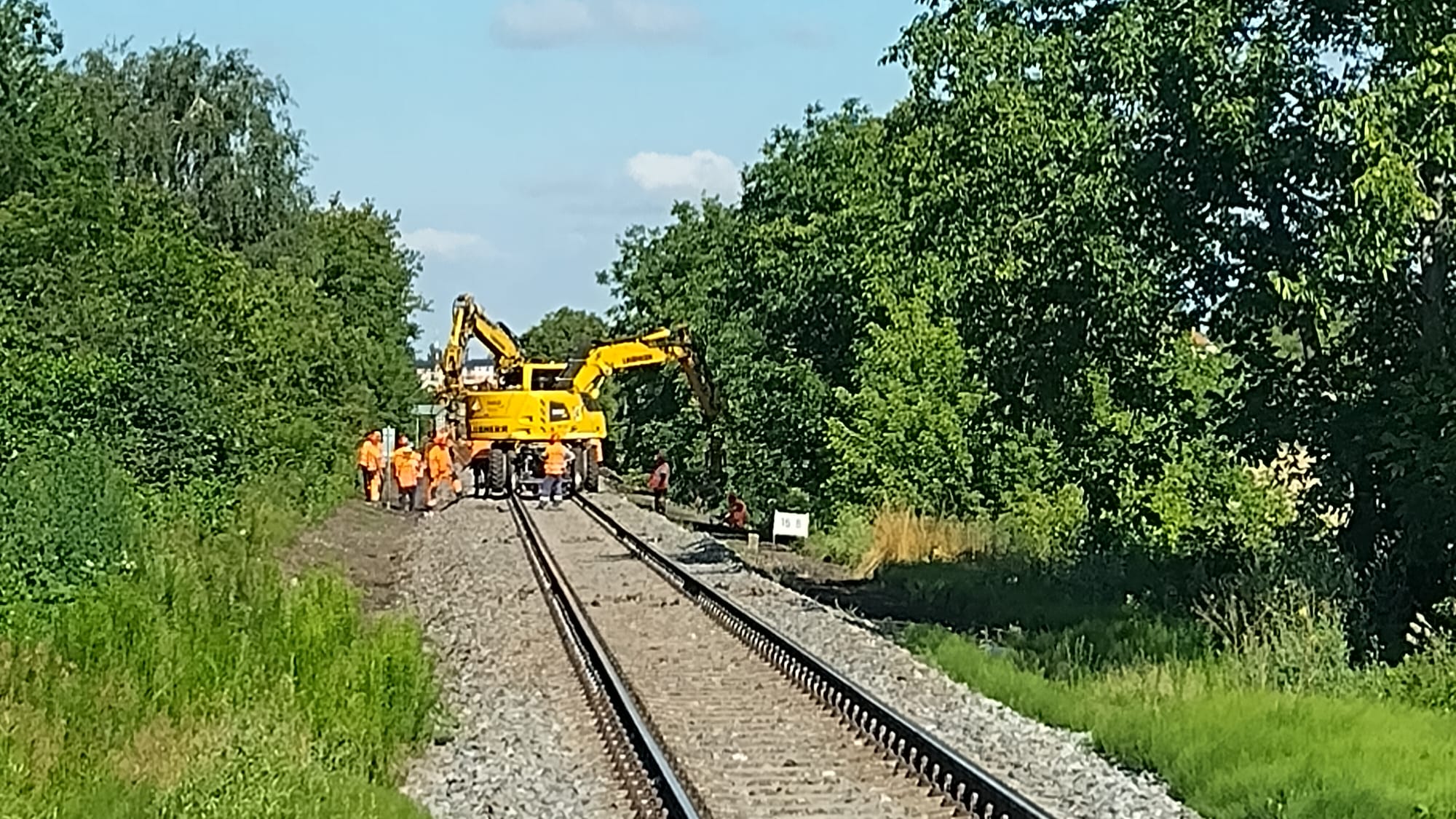 Ilustrační obrázek