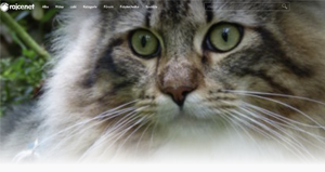 Ilustrační obrázek