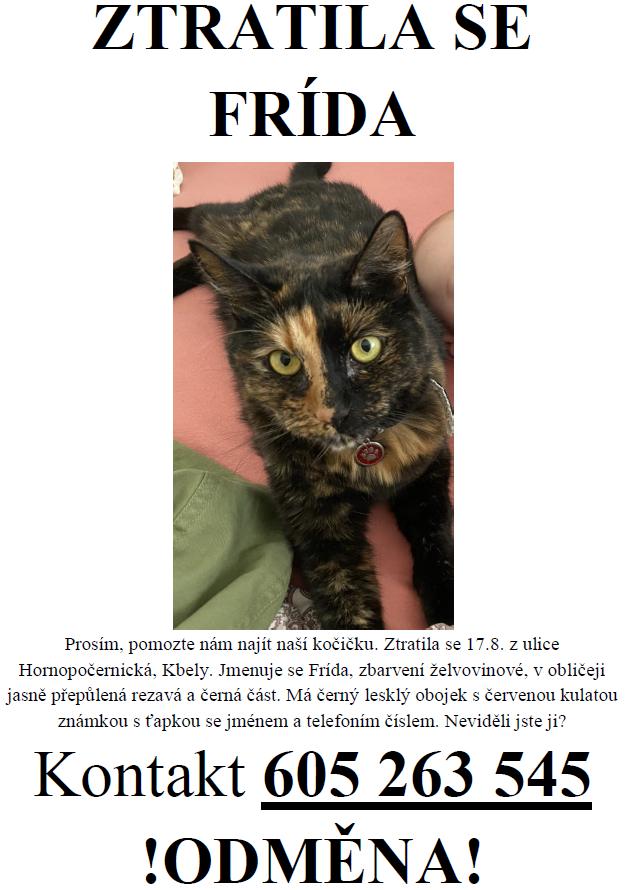 Ilustrační obrázek