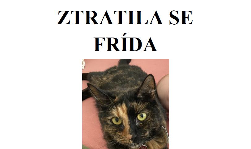 Ilustrační obrázek