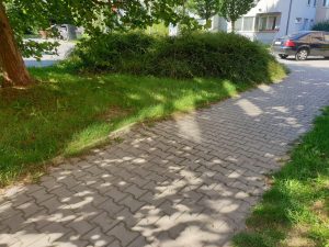 Ilustrační obrázek