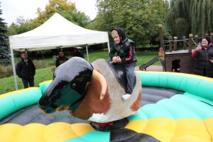 Ilustrační obrázek