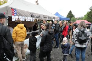 Ilustrační obrázek