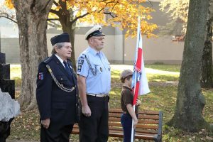 Ilustrační obrázek