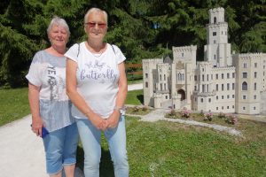 Ilustrační obrázek