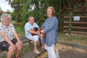 Ilustrační obrázek