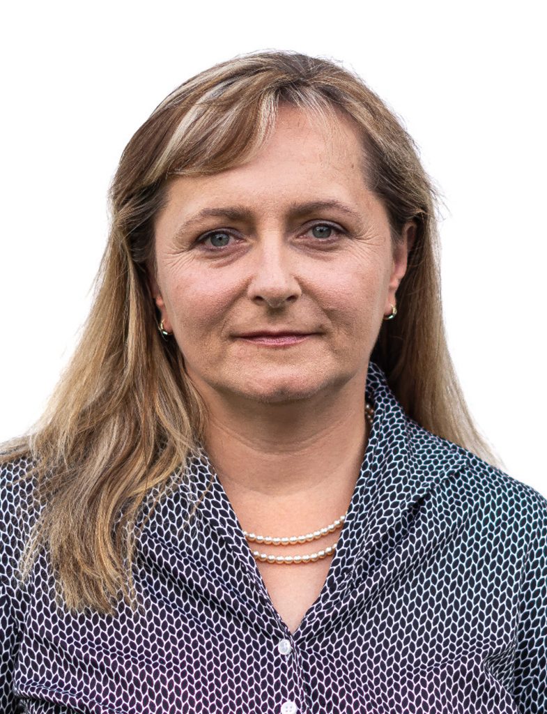 Ilustrační obrázek