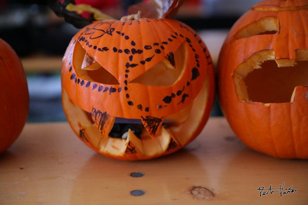 Ilustrační obrázek