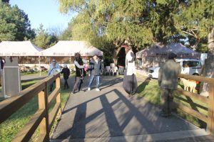 Ilustrační obrázek