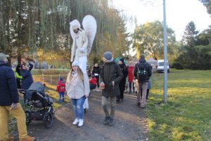 Ilustrační obrázek