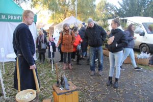 Ilustrační obrázek