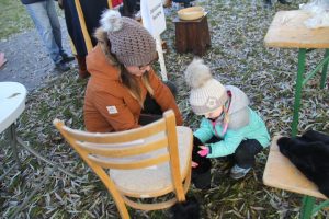 Ilustrační obrázek