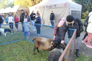 Ilustrační obrázek