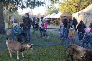 Ilustrační obrázek