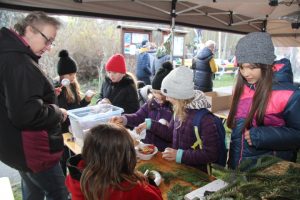 Ilustrační obrázek