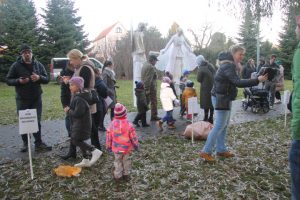 Ilustrační obrázek