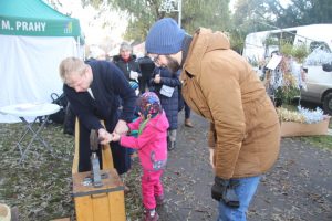 Ilustrační obrázek