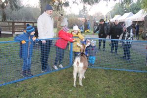 Ilustrační obrázek