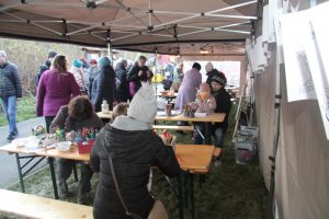 Ilustrační obrázek