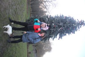 Ilustrační obrázek