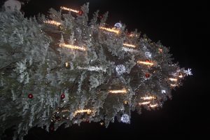 Ilustrační obrázek