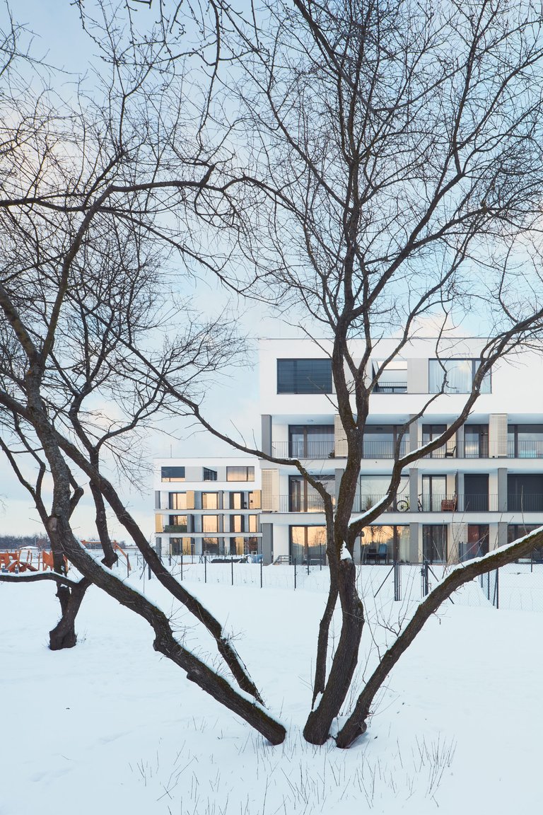 Ilustrační obrázek